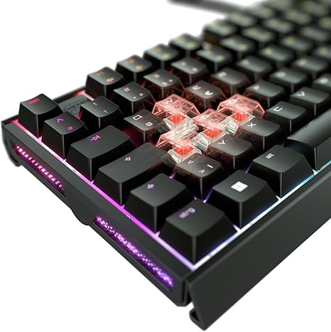 CHERRY XTRFY MX 3.1 Mechanical Wired Gaming Keyboard | New MX2A Switches (Black, MX2A Red)